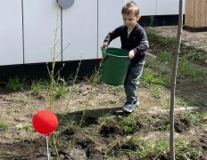img (6)